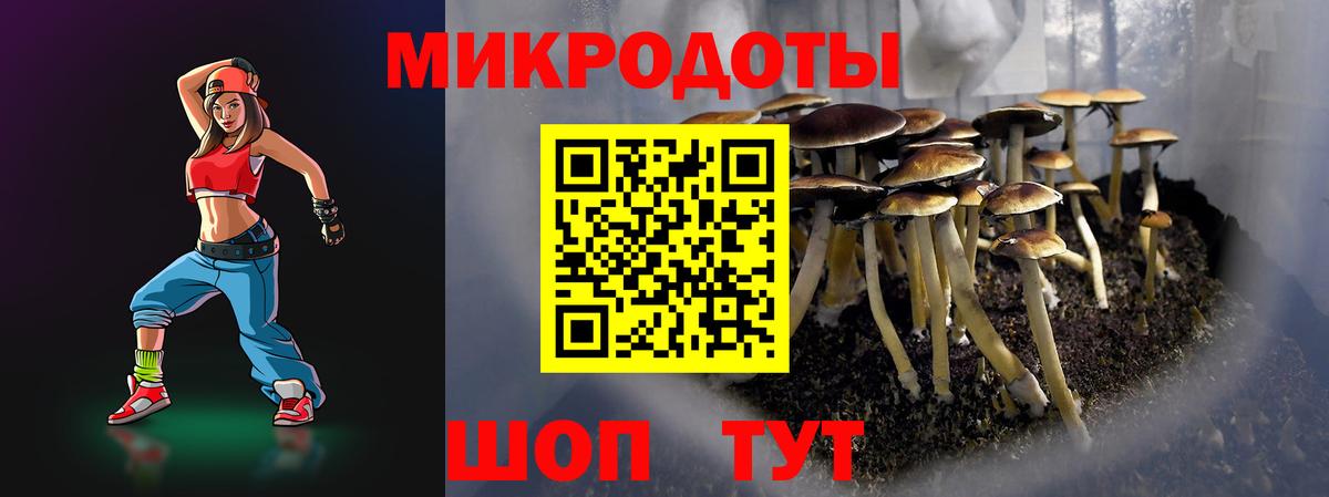 Галлюциногенные грибы ЛСД Губаха